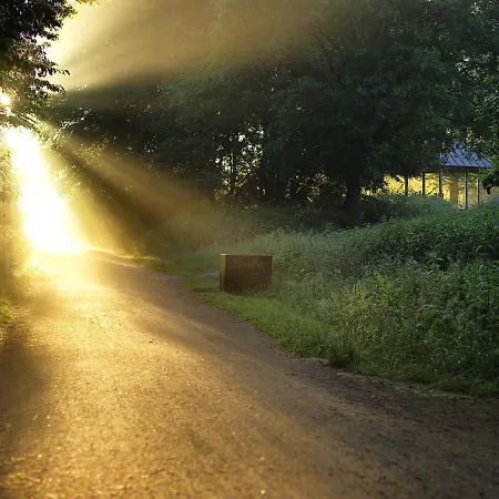 Parkhotel Wienburg Muenster 2*