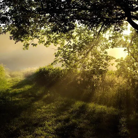 Parkhotel Wienburg 2* Munster (North Rhine-Westphalia)