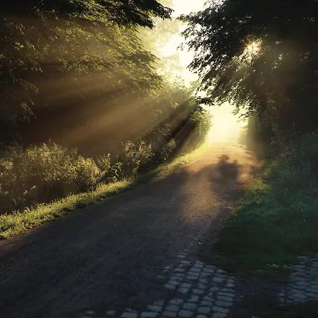 Parkhotel Wienburg Muenster 2*