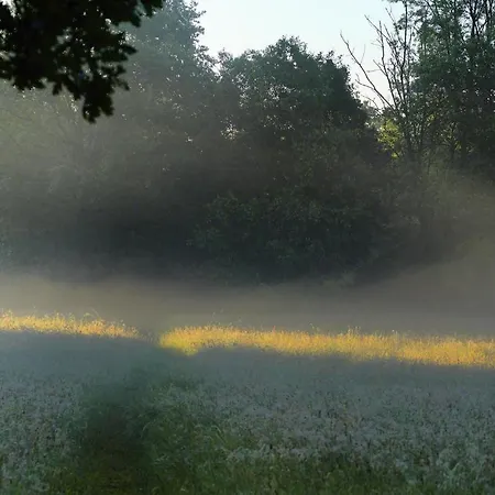 Parkhotel Wienburg Hotel