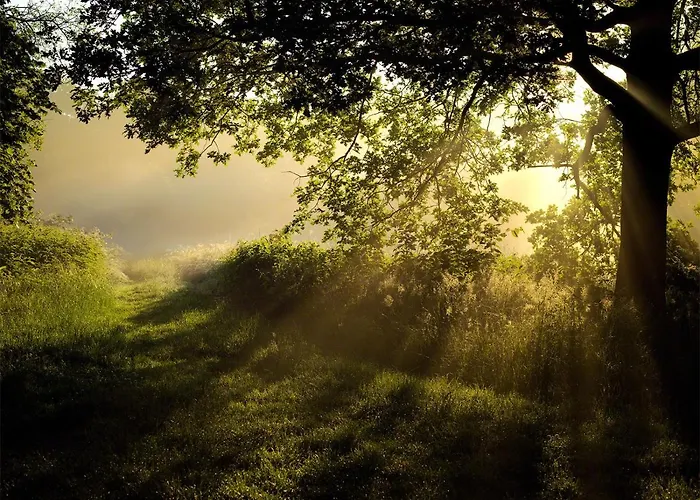 Parkhotel Wienburg Muenster 2* WESTPHALIA