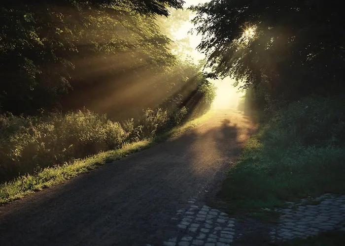 Parkhotel Wienburg 2*