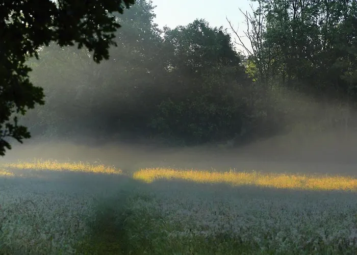 Parkhotel Wienburg Szálloda